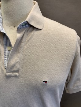 TOMMY HILFIGER, Oatmeal Brown, Cotton, Solid, S/S, 2 Buttons, Small Logo, Light Blue And White Stripe Facing, Picque