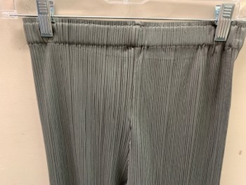 Womens, Sci-Fi/Fantasy Pants, N/L, Gray, Polyester, Solid, 26, Permanent Pleating, Elastic Waist