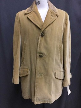 Mens, Coat, Sportswear, Tan Brown, Cotton, Polyester, Solid, 42R, Tan Corduroy, Notch Lapel, Knit Collar Attached, Button Front, 4 Pockets,