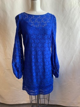 LAUNDRY, Primary Blue, Nylon, Spandex, Floral, Round Neck, Long Sleeves, Elastic Cuffs, Lace, Full Slip Attached, Pullover