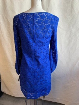 LAUNDRY, Primary Blue, Nylon, Spandex, Floral, Round Neck, Long Sleeves, Elastic Cuffs, Lace, Full Slip Attached, Pullover