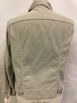 DIESEL, Tan Brown, Cotton, Solid, Button Front, 4 Pockets 2 with Flaps, Jean Jacket Styling, Long Sleeves with Button Cuffs