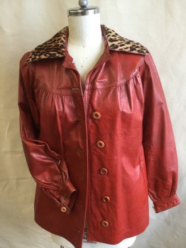 Womens, Leather Jacket, FOX 50, Dk Red, Tan Brown, Brown, Lt Brown, Leather, Solid, Animal Print, M, 38, Dark Red Lining, Leopard Pint Large Collar Attached, Yoke Front and Back, Large Button Front (1 MISSING Button at the Top), 2 Side Pockets, Long Sleeves,
