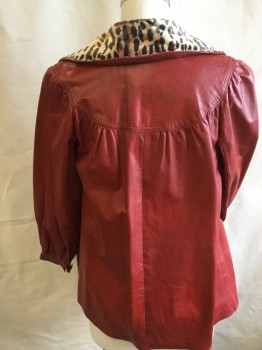 Womens, Leather Jacket, FOX 50, Dk Red, Tan Brown, Brown, Lt Brown, Leather, Solid, Animal Print, M, 38, Dark Red Lining, Leopard Pint Large Collar Attached, Yoke Front and Back, Large Button Front (1 MISSING Button at the Top), 2 Side Pockets, Long Sleeves,