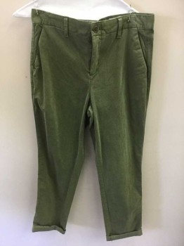 GAP, Olive Green, Cotton, Spandex, Solid, Flat Front, Belt Loops,