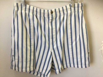 EDDIE BAUER, White, Blue, Cotton, Stripes - Vertical , Elastic Waist, 3 Pockets, Zipper, Inner Drawstring, Retro,