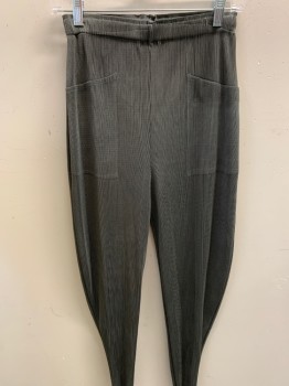 Womens, Sci-Fi/Fantasy Pants, N/L, Gray, Polyester, Solid, 26-28, Permanent Pleating, Elastic Waist, 2 Pockets,