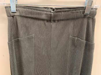 Womens, Sci-Fi/Fantasy Pants, N/L, Gray, Polyester, Solid, 26-28, Permanent Pleating, Elastic Waist, 2 Pockets,