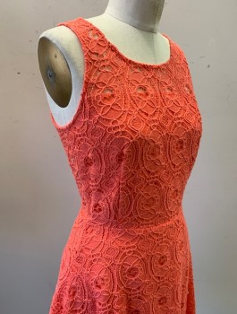 AQUA, Coral Pink, Cotton, Nylon, Solid, Swirl , Looped Lace Fabric Over Opaque Base Layer, 1.5" Straps, Scoop Neck, Fit and Flare Shape, Hem Above Knee, Invisible Zipper in Back
