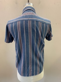 EIGHTY 8, Denim Blue, Peach Orange, White, Cotton, Stripes, Collar Attached, Button Front, Short Sleeves, 1 Pocket
