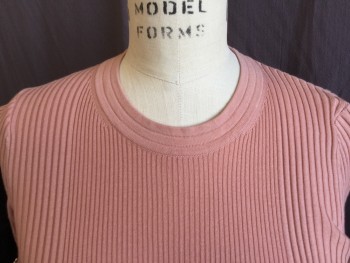 ALEXANDER WANG, Blue, Salmon Pink, Cotton, Solid, Faded Salmon,  3 Tiers Crew Neck, Ribbed Knit, Curly Short Sleeves and Hem with Small Metal Ball