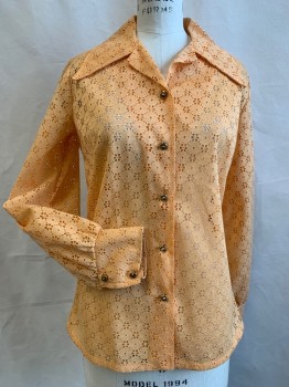 Womens, Shirt, CAREFREE FASHIONS, Peach Orange, Solid, Floral Eyelet Lace, Gold Square Button Front, Pointy Collar Attached, Long Sleeves, Button Cuff