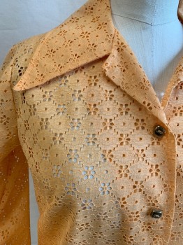 Womens, Shirt, CAREFREE FASHIONS, Peach Orange, Solid, Floral Eyelet Lace, Gold Square Button Front, Pointy Collar Attached, Long Sleeves, Button Cuff