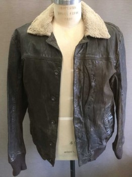 Mens, Leather Jacket, TIMBERLAND, Brown, Tan Brown, Leather, Solid, L, Brown Leather with Tan Fleece Collar, 6 Metal Buttons At Front, Ribbed Knit Cuffs and Waist, Lining Is Gray and Dark Gray Vertical Stripe Flannel
