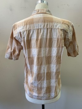 Mens, Casual Shirt, L'ASCOLI, Beige, White, Cotton, Check , N:15.5, M, 1950's, Small X's in Pattern, S/S, Button Front, Collar Attached, 1 Patch Pocket