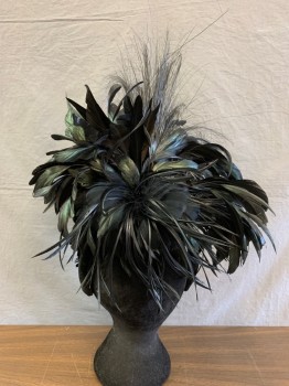 Womens, Fascinator, KOKIN, Black, Iridescent Black, Feathers, Solid, Velvet Covered Padded Headband with Attached Skull Cap Festooned with Feathers and Glitter Leaves, 360 Degrees of Spectacular