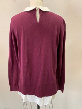 TED BAKER, Red Burgundy, White, Cotton, Polyamide, Solid, Knit Sweater with Attached White Cotton Undershirt with Self Polka Dot Pattern, Long Sleeves, Collar is Rounded