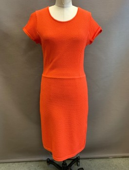 BIANA, Coral Orange, Viscose, Polyamide, Solid, Bumpy Textured Knit, Short Sleeves with Cutout at Shoulder, Scoop Neck, Princess Seams, Fitted Through Hip, Knee Length, *Stains CB Thigh Area