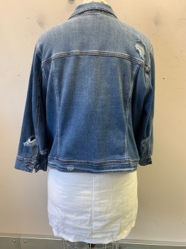 Womens, Jean Jacket, LANE BRYANT, Denim Blue, Cotton, XXXL, C.A., Single Breasted, Button Front, 2 Breast Pockets, 2 Welt Pockets at Waist, Distressed Style