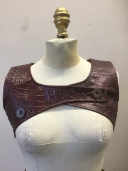 Womens, Sci-Fi/Fantasy Piece 1, N/L, Red Burgundy, Leather, Reptile/Snakeskin, Ch: 32, Sleeveless, Scoop Neck, Sits Over Bustline, 2 Button Closures at Front, Made To Order