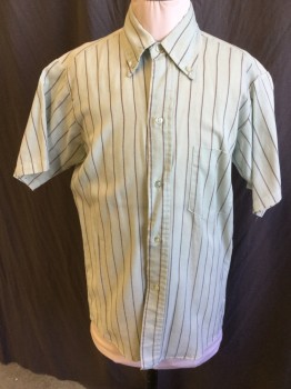 CARNEGIE, Pale Gray-green Polycotton with Tan/Black Vertical Stripe, Btn Down Collar, S/S, 1 Pckt, Multiple