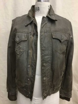 LEVI, Gray, Olive Green, Cotton, Solid, Nicely Aged/Distressed,  Snap/ Zip Front, Front and Back Yoke, 4 Pockets, Collar Attached, Rib Knit Collar and Cuffs, Back Vent Jean Jacket Cut. Olive Flannel Lining