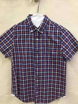 CREW CUTS, Navy Blue, Periwinkle Blue, Red, Lt Pink, Cotton, Check , Button Down Collar, Short Sleeves, Button Front,