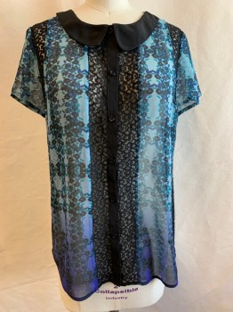 HINGE, Black, Teal Green, Blue, Polyester, Floral, Stripes, Short Sleeves, Button Front, Peter Pan Collar, Black Lace Insets