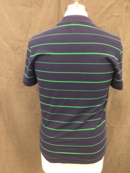 LACOSTE, Navy Blue, Green, Cotton, Elastane, Stripes, Pique Knit, 3 Buttons,  Placket, Solid Navy Ribbed Knit Collar Attached/Cuff, Short Sleeves