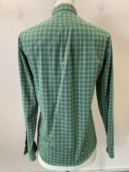 J.CREW, Dusty Green, White, Navy Blue, Cotton, Elastane, Plaid - Tattersall, L/S, Button Front, C.A., Button Down Collar, 1 Pocket