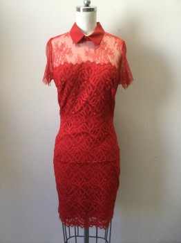 SANDRO, Red, Synthetic, Lycra, Novelty Pattern, Red Stretch Lace Dress, Short Sleeves, with Solid Red Collar. Gold Zipper Center Back,