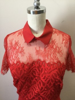 SANDRO, Red, Synthetic, Lycra, Novelty Pattern, Red Stretch Lace Dress, Short Sleeves, with Solid Red Collar. Gold Zipper Center Back,