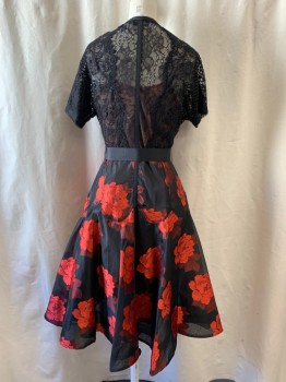 BRYAN LARO, Black, Red, Poly/Cotton, Nylon, Floral, 2pc with Ribbon Belt, Black Lace Sheer Bodice, Small Bow at Center Neckline, Button Front, Short Sleeves, Caramel Attached Slip, A-Line Dress, Rose Printed Skirt