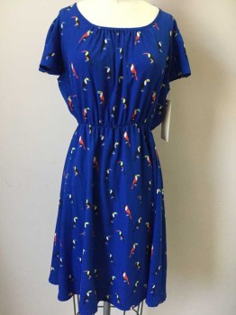 N/L, Royal Blue, Multi-color, Rayon, Novelty Pattern, Round Neck with Gathers At Front Neck, Flutter Cap Sleeves, Elastic, Knee Length