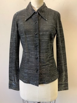 XOXO, Iridescent Black, Silver, Polyester, 2 Color Weave, Stripes - Horizontal , L/S, Button Front, Collar Attached, Fitted