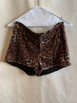 Womens, Shorts, SANS SOUCI, Brown, Beige, Black, Polyester, Animal Print, W:30, S, Leopard Pattern, All Over Sequins, Zip Front, Wide Waistband