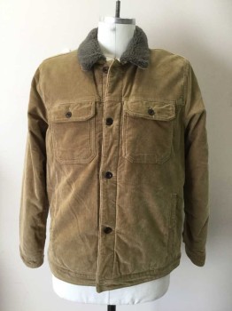 ABERCROMBIE & FITCH, Tan Brown, Gray, Cotton, Polyester, Solid, Tan Corduroy, Button Front, 4 Pockets, Long Sleeves, Collar Attached, Gray Fleece Lining, Gray Fleece Collar