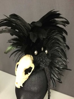 Unisex, Sci-Fi/Fantasy Headpiece, MISS G DESIGNS, Black, Ivory White, Silver, Feathers, Leather, 'Tina Turner' ish Headpiece, Beyond The Thunderdome, Black Coque Feathers, Black Mink Fur, Ivory Real Animal Skull, Silver Brads, Leather Crown, Macramé Tassels With Wood Beads And Feathers