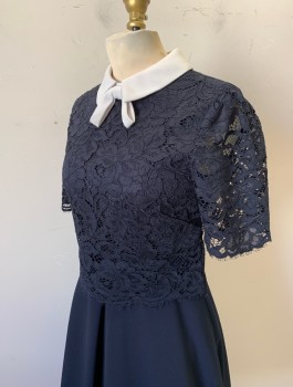 TED BAKER, Navy Blue, White, Polyester, Viscose, Solid, Dark Navy (Nearly Black) Lace Bodice, Short Sleeves, White Contrasting Collar with Self Bow, A-Line, Box Pleats at Waist, Knee Length, Exposed Gold Zipper in Back