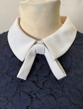 TED BAKER, Navy Blue, White, Polyester, Viscose, Solid, Dark Navy (Nearly Black) Lace Bodice, Short Sleeves, White Contrasting Collar with Self Bow, A-Line, Box Pleats at Waist, Knee Length, Exposed Gold Zipper in Back