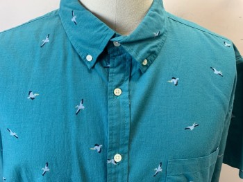 FOUNDRY, Turquoise Blue, Lt Gray, Black, Yellow, Cotton, Animal Print, Pelican Birds Flying, Short Sleeves, Button Front, Button Down Collar Attached, 1 Pocket,