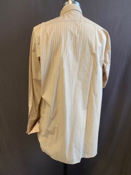 DARCY, Lt Brown, Dk Brown, Cream, Cotton, Stripes - Vertical , Button Front, Collar Attached, Long Sleeves, French Cuffs
