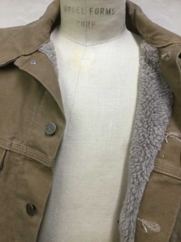 Mens, Jean Jacket, CARHARTT, Khaki Brown, Cream, Cotton, Polyester, Solid,  , L, Khaki W/cream Sheep Lining, Collar Attached, Brass Button Front, Long Sleeves,