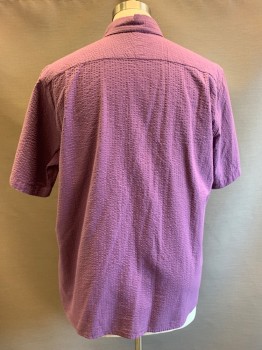 Territiry Ahead, Purple, Cotton, Textured Fabric, S/S, Button Front, C.A., Chest Pocket