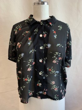 H&M, Black, Green, Coral Orange, Baby Blue, Lt Peach, Polyester, Floral, Collar Attached, Button Front, Short Sleeves, Sheer
