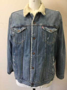 Mens, Jean Jacket, LEVI'S, Lt Blue, Off White, Cotton, Solid, XXL, Snap Front, 4 Pockets, Long Sleeves, Aged, Off White Fleece Lining/Collar