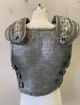Mens, Historical Fiction Piece 1, N/L MTO, Silver, Fiberglass, Metallic/Metal, Reptile/Snakeskin, Swirl , C:36-8, Dionysis Roman God/Warrior, Chest Plate: Faux Metal, Reptile Texture Front, with Molded Chest Muscles,  Adjustable Side Straps, Removable Shoulder Pieces with Velcro Attachments, Made To Order