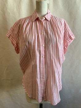 MADEWELL, Dusty Red, White, Cotton, Stripes, Button Front, Collar Attached, Cap Sleeve, Rounded Hem Up Into Side Slits, Gathered at Shoulder Seams, Center Back Slit