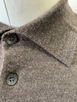 JOSEPH & LYMAN, Dusty Brown, Wool, Solid, Polo Sweater, Knit, Long Sleeves, Collar Attached, 3 Button Placket