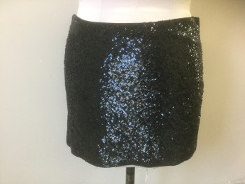 HAUTE HIPPIE, Iridescent Black, Sequins, Silk, Solid, Covered in Small Black Sequins, Base Layer is Black Sheer Crepe, Invisible Zipper at Side
